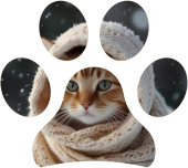 Inverno: consigli per il benessere del gatto