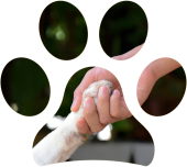 L’efficacia della pet therapy