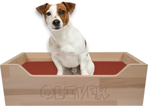 Modello Morfeo in Legno di Faggio