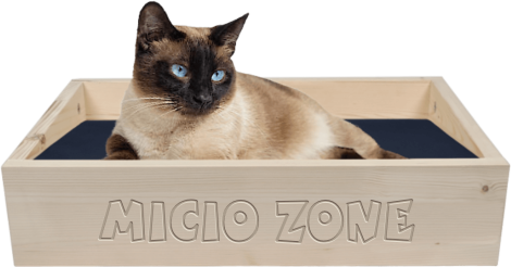 Modello Apollo in Legno di Abete